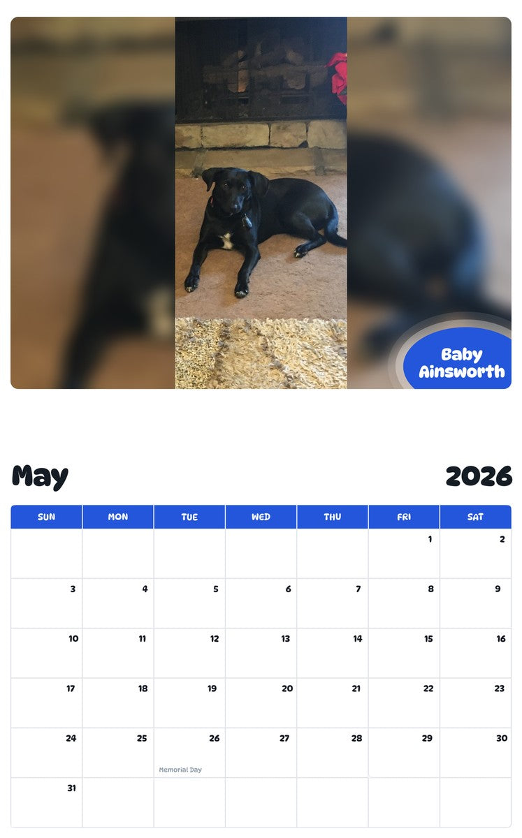 2026 - 2027 Baby Ainsworth - Pawidols Pet Calendar