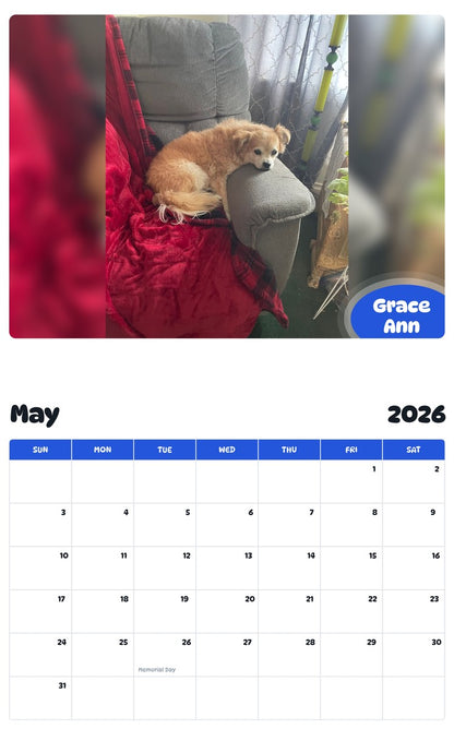 2026 - 2027 Grace Ann - Pawidols Pet Calendar