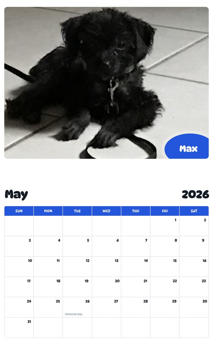 2026 - 2027 Max - Pawidols Pet Calendar