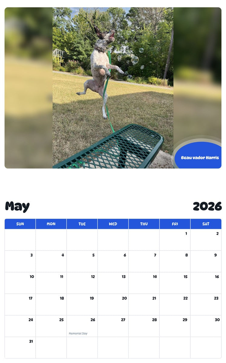 2026 - 2027 Beau vador Harris - Pawidols Pet Calendar