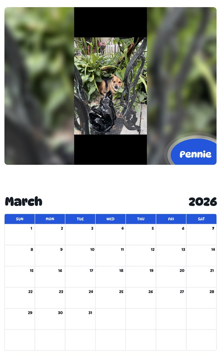 November 2025 - October 2026 Pennie - Pawidols Pet Calendar