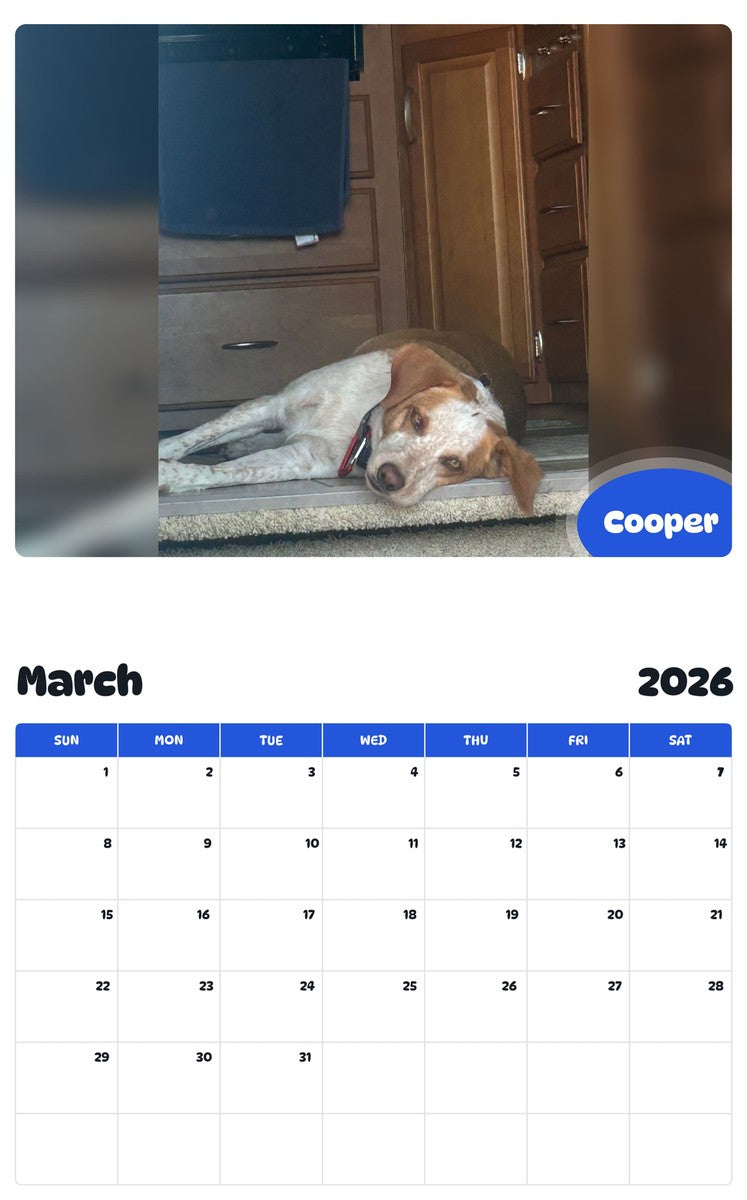 November 2025 - October 2026 Cooper - Pawidols Pet Calendar