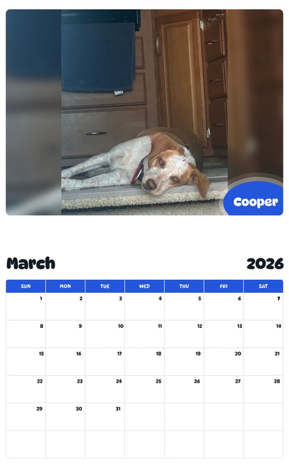 November 2025 - October 2026 Cooper - Pawidols Pet Calendar