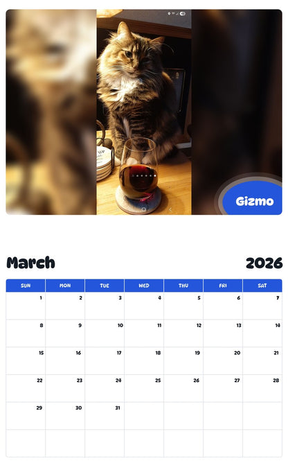 November 2025 - October 2026 Gizmo - Pawidols Pet Calendar