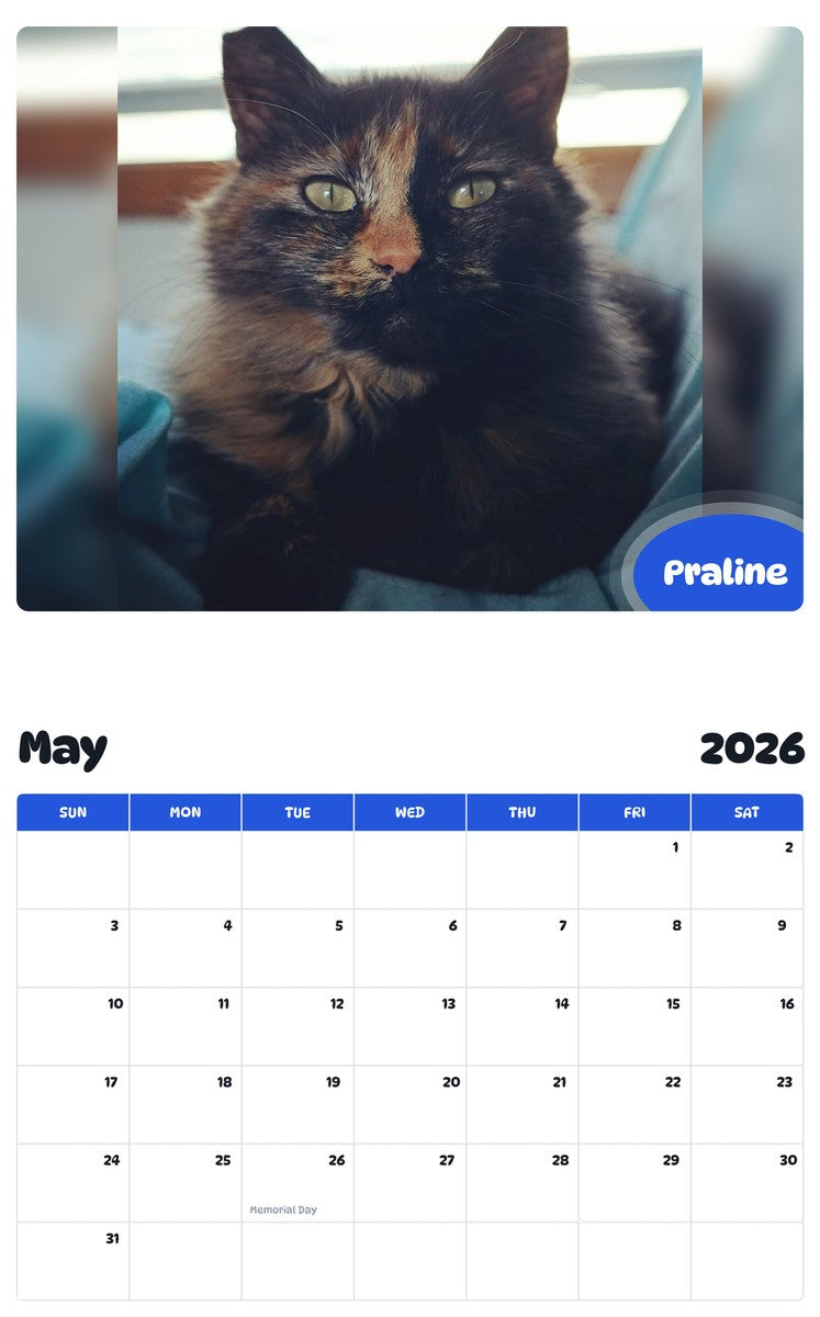 2026 - 2027 Praline - Pawidols Pet Calendar