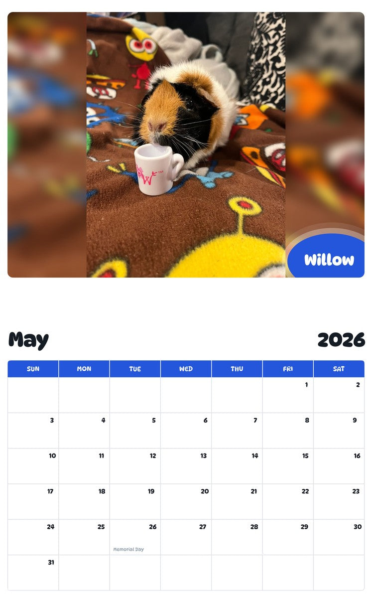 2026 - 2027 Willow - Pawidols Pet Calendar