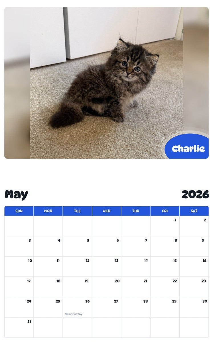 2026 - 2027 Charlie - Pawidols Pet Calendar