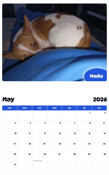 2026 - 2027 Madie - Pawidols Pet Calendar