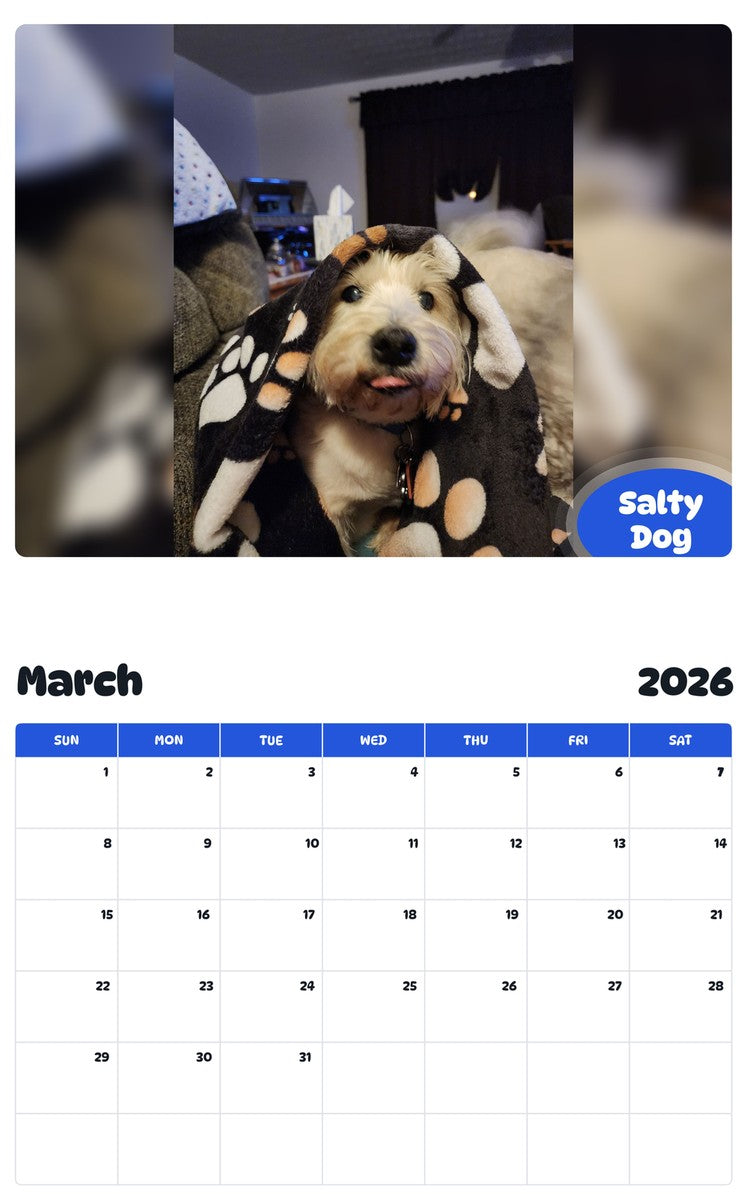 November 2025 - October 2026 Salty Dog - Pawidols Pet Calendar