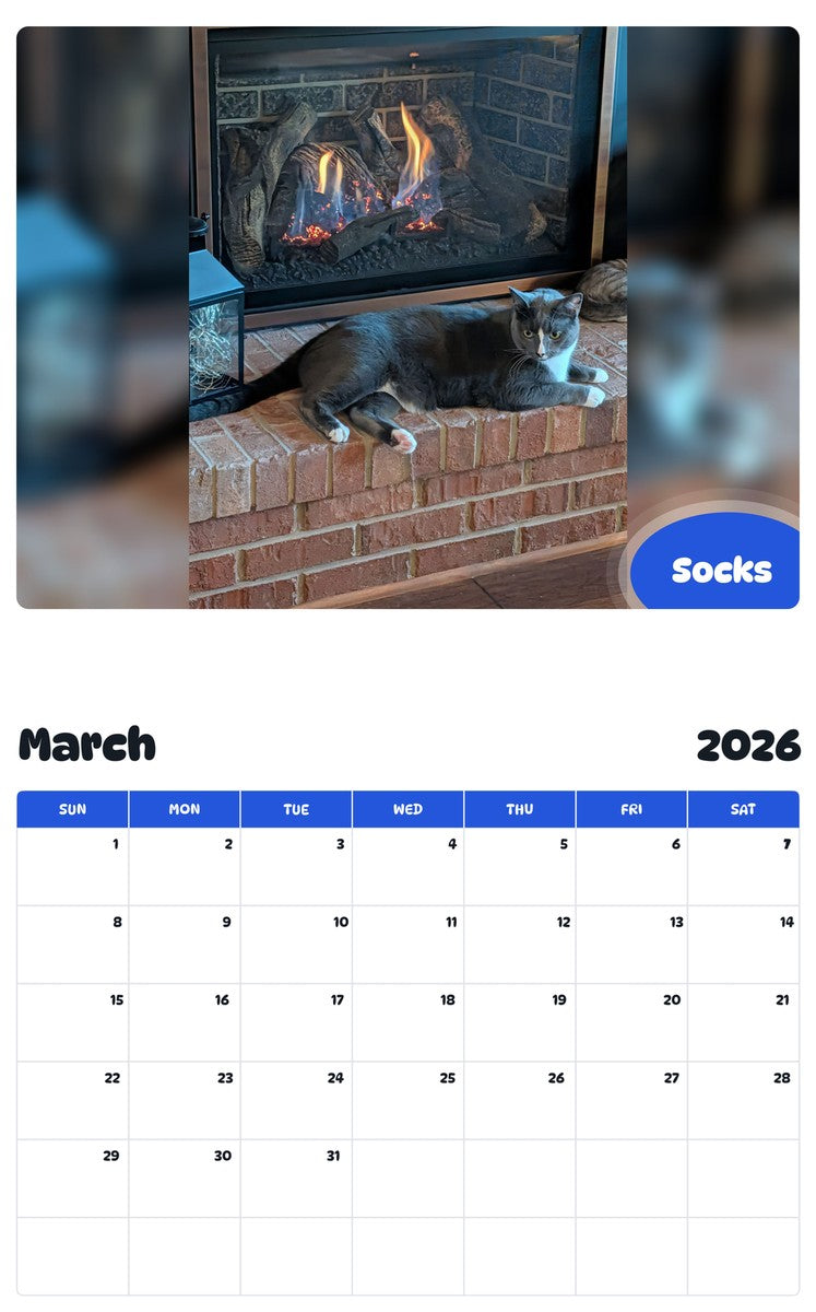 November 2025 - October 2026 Socks - Pawidols Pet Calendar
