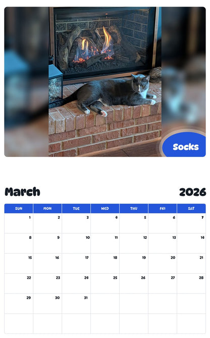 November 2025 - October 2026 Socks - Pawidols Pet Calendar