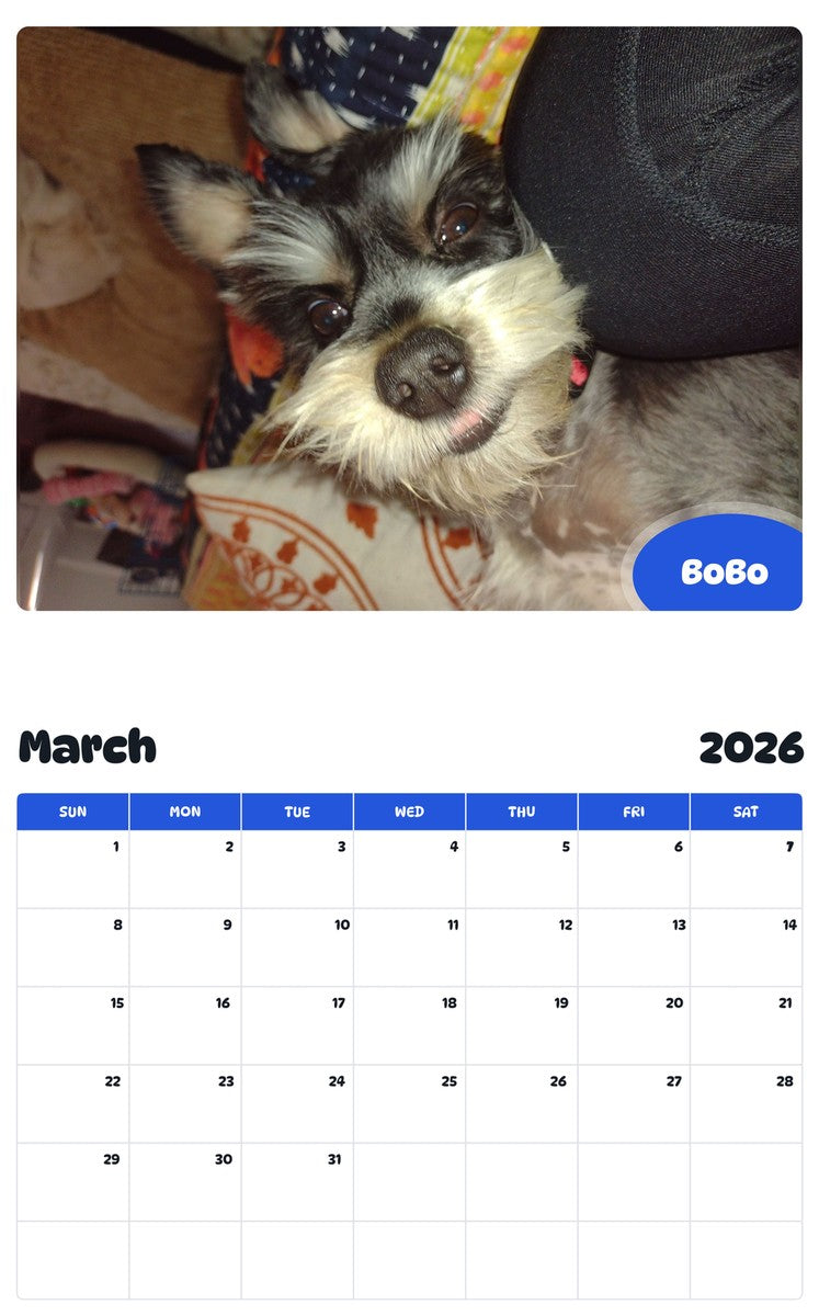 November 2025 - October 2026 BoBo - Pawidols Pet Calendar