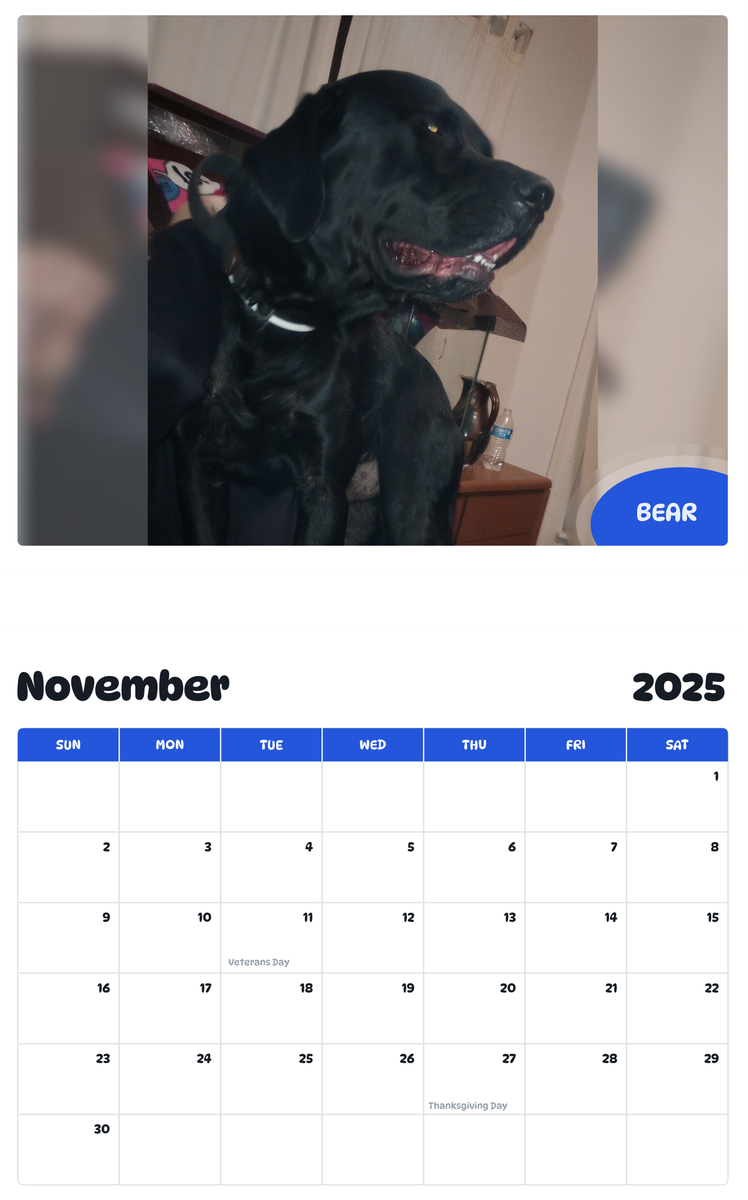 July 2025 - June 2026 Bear - Pawidols Pet Calendar