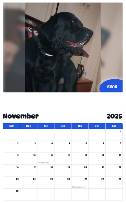 July 2025 - June 2026 Bear - Pawidols Pet Calendar
