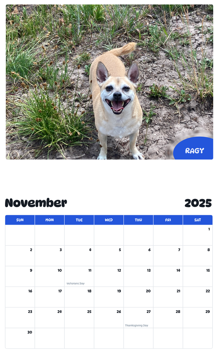 July 2025 - June 2026 Ragy - Pawidols Pet Calendar