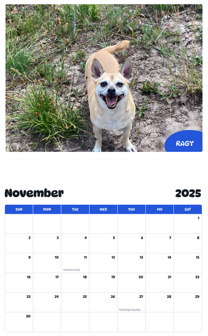 July 2025 - June 2026 Ragy - Pawidols Pet Calendar