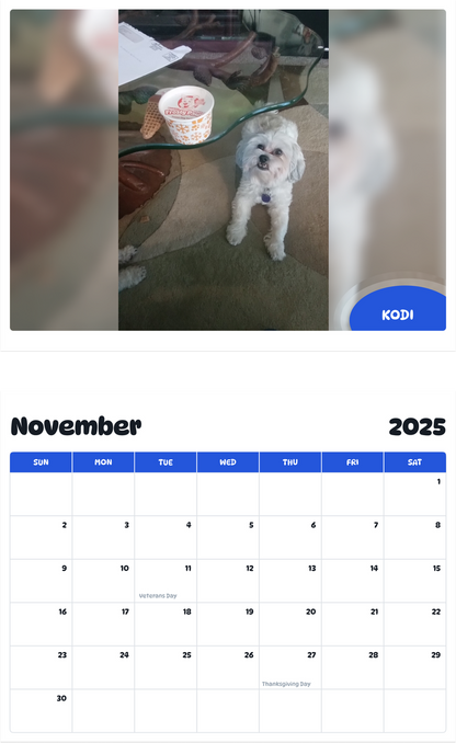 July 2025 - June 2026 Kodi - Pawidols Pet Calendar