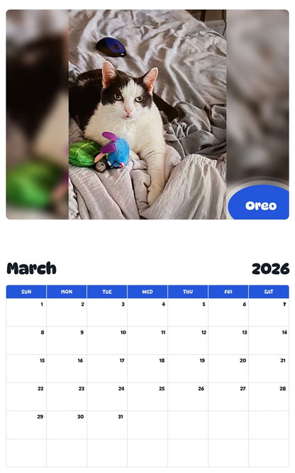 November 2025 - October 2026 Oreo - Pawidols Pet Calendar