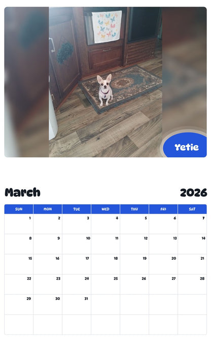 November 2025 - October 2026 Yetie - Pawidols Pet Calendar
