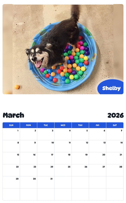 November 2025 - October 2026 Shelby - Pawidols Pet Calendar