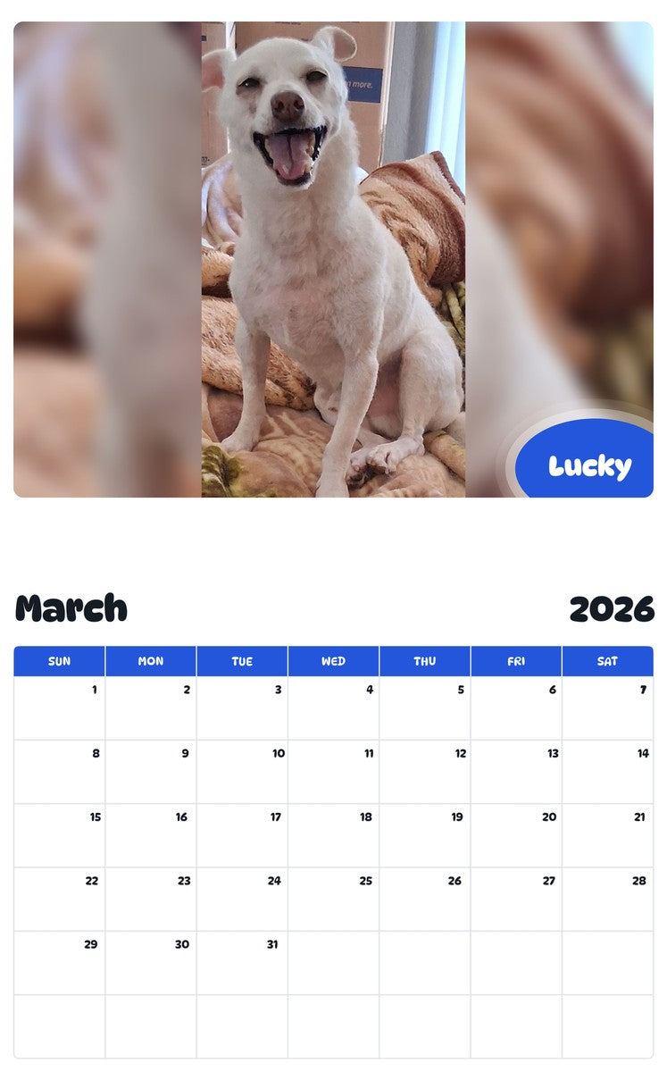 November 2025 - October 2026 Lucky - Pawidols Pet Calendar