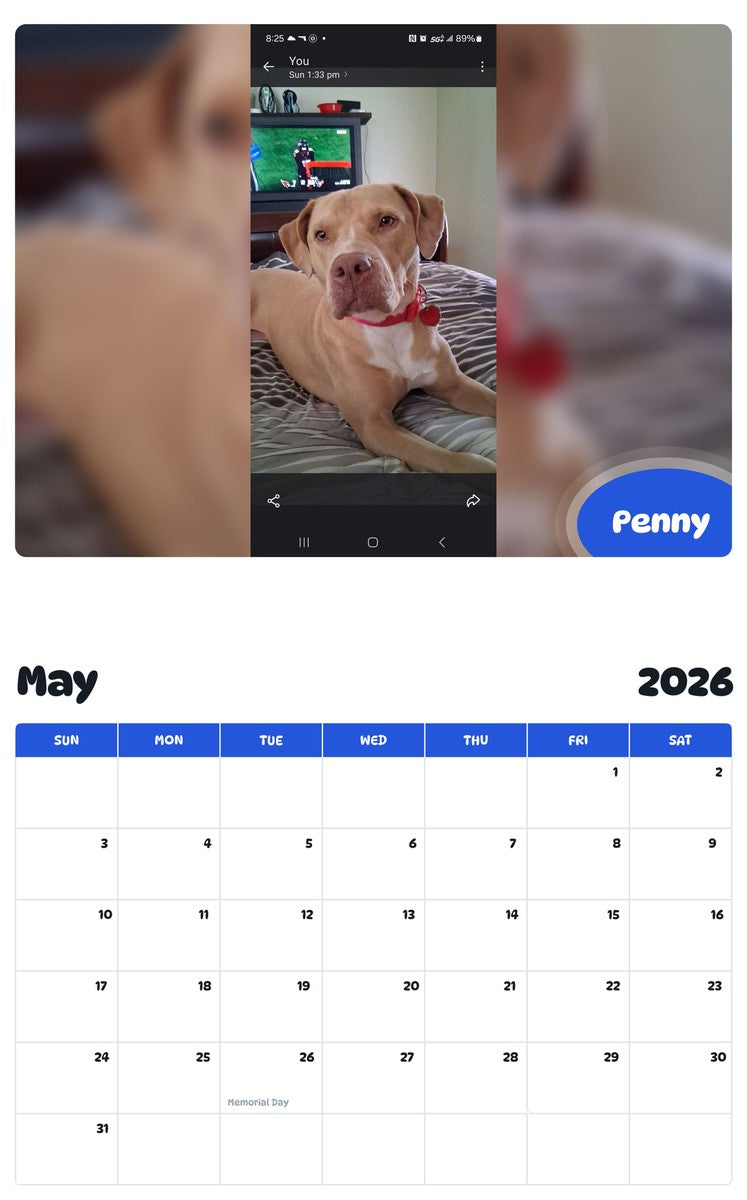 2026 - 2027 Penny - Pawidols Pet Calendar