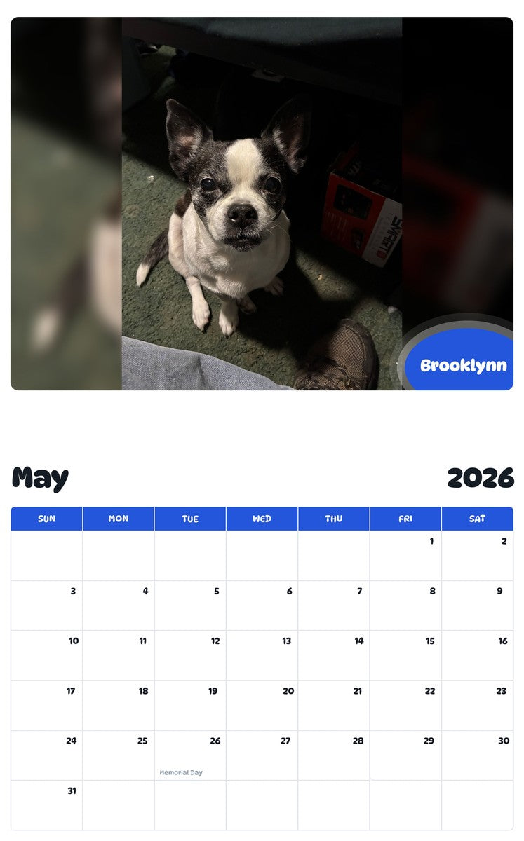 2026 - 2027 Brooklynn - Pawidols Pet Calendar