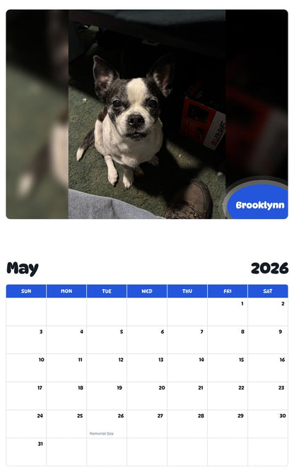 2026 - 2027 Brooklynn - Pawidols Pet Calendar