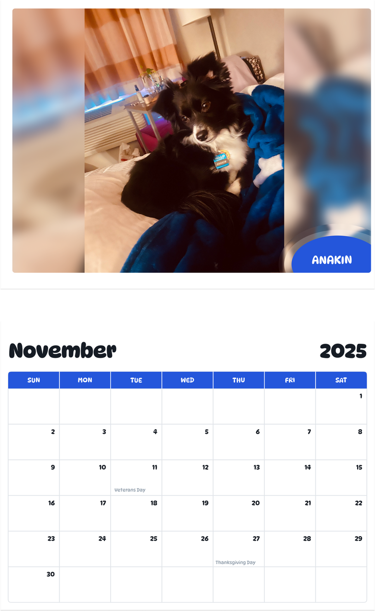 July 2025 - June 2026 Anakin - Pawidols Pet Calendar