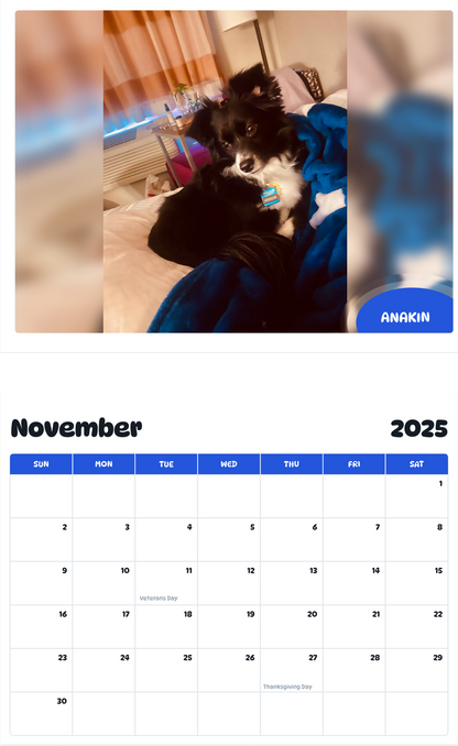 July 2025 - June 2026 Anakin - Pawidols Pet Calendar