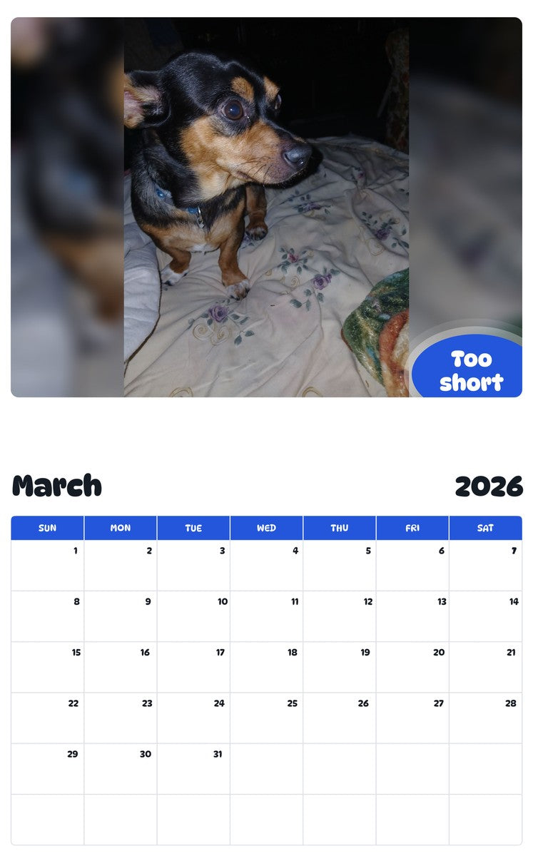 November 2025 - October 2026 Too short - Pawidols Pet Calendar