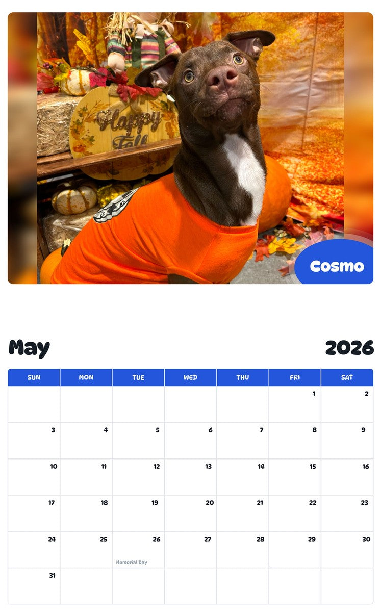 2026 - 2027 Cosmo - Pawidols Pet Calendar