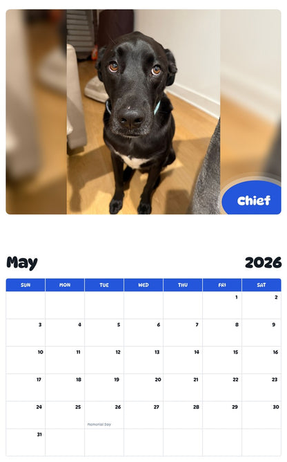 2026 - 2027 Chief - Pawidols Pet Calendar