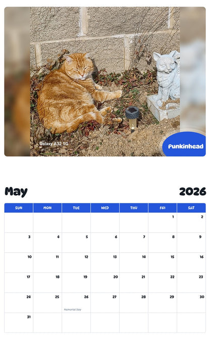 2026 - 2027 Punkinhead - Pawidols Pet Calendar