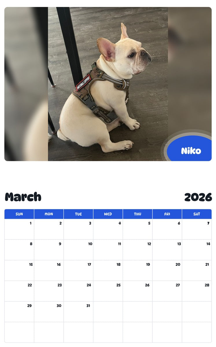 November 2025 - October 2026 Niko - Pawidols Pet Calendar