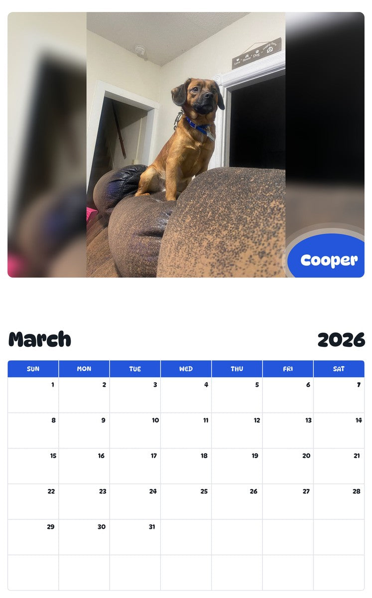 November 2025 - October 2026 Cooper - Pawidols Pet Calendar