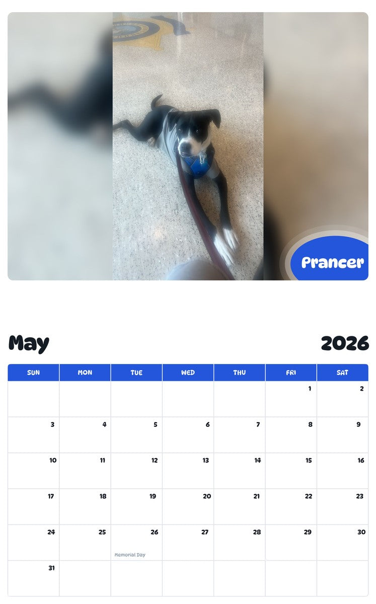 2026 - 2027 Prancer - Pawidols Pet Calendar