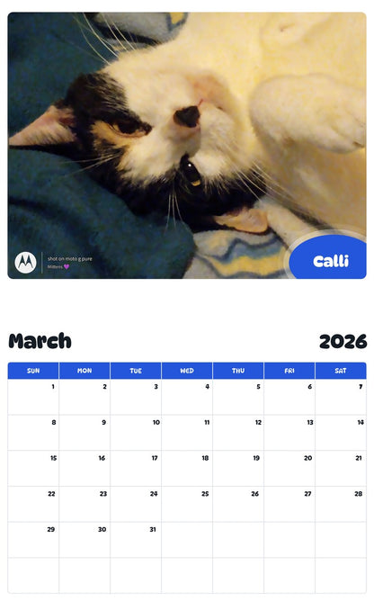 November 2025 - October 2026 Calli - Pawidols Pet Calendar
