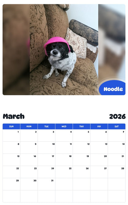 November 2025 - October 2026 Noodle - Pawidols Pet Calendar