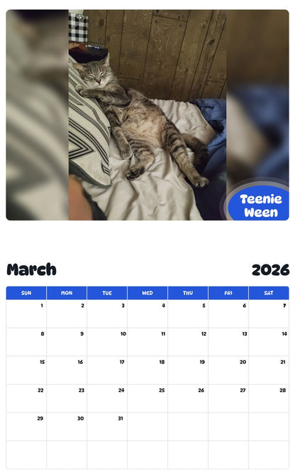 November 2025 - October 2026 Teenie Ween - Pawidols Pet Calendar