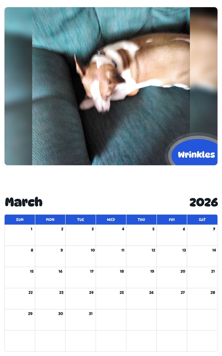 November 2025 - October 2026 Wrinkles - Pawidols Pet Calendar