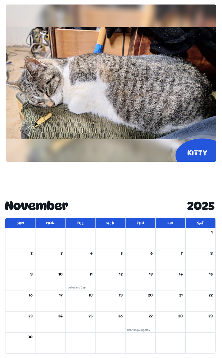 July 2025 - June 2026 Kitty - Pawidols Pet Calendar