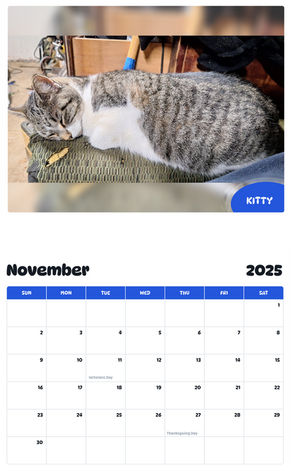 July 2025 - June 2026 Kitty - Pawidols Pet Calendar