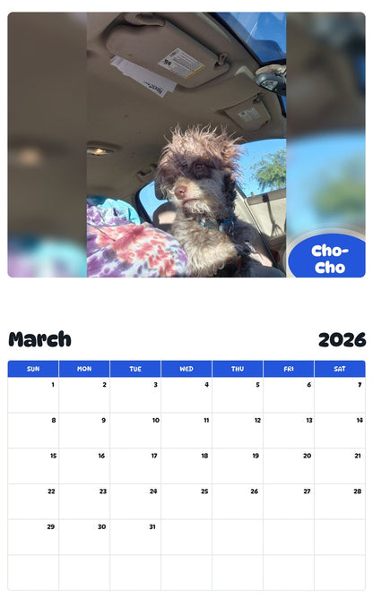 November 2025 - October 2026 Cho-Cho - Pawidols Pet Calendar