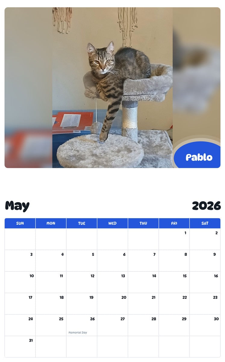2026 - 2027 Pablo - Pawidols Pet Calendar
