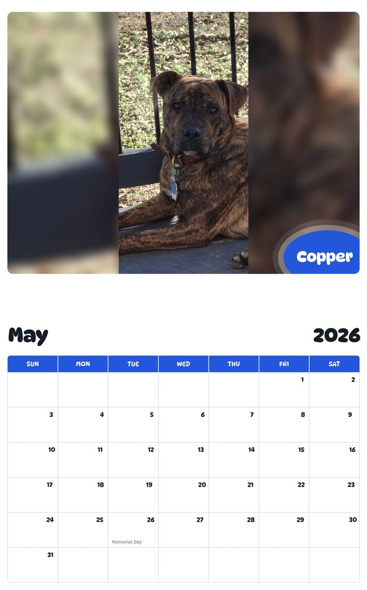 2026 - 2027 Copper - Pawidols Pet Calendar