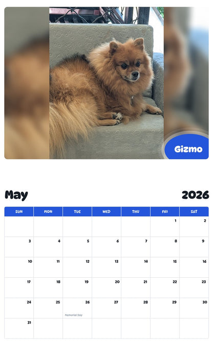 2026 - 2027 Gizmo - Pawidols Pet Calendar