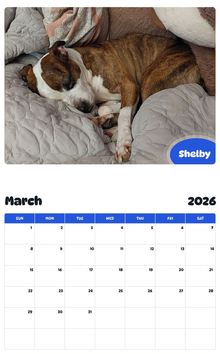 November 2025 - October 2026 Shelby - Pawidols Pet Calendar