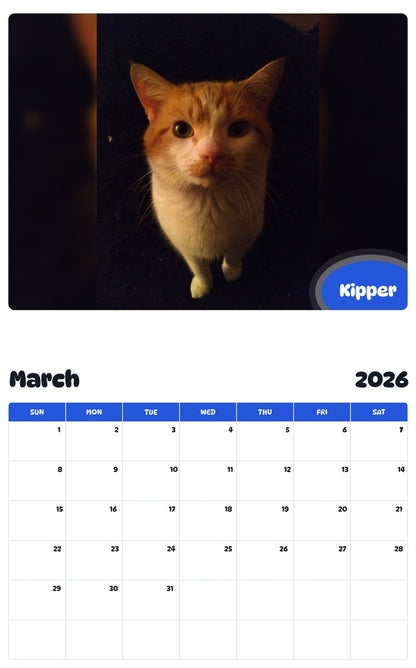 November 2025 - October 2026 Kipper - Pawidols Pet Calendar