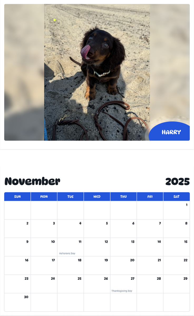 July 2025 - June 2026 Harry - Pawidols Pet Calendar